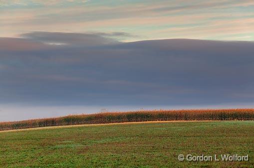 Cloud Bank Over A Cornfield_08877-8.jpg - Photographed near Carleton Place, Ontario, Canada.